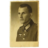 Wehrmacht soldiers picture in parade tunic
